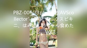 PBZ-006(33pbz006)[AVScollector’s]乳とろニクスビキニ、はみ出し姉ちゃん食めたおし。Vol.1