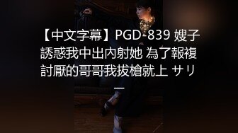 【中文字幕】PGD-839 嫂子誘惑我中出內射她 為了報複討厭的哥哥我拔槍就上 サリー