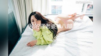 我的骚老婆第八部