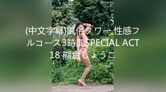 (中文字幕)風俗タワー 性感フルコース3時間SPECIAL ACT18 熊倉しょうこ