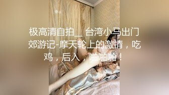 极高清自拍__ 台湾小马出门郊游记-摩天轮上的激情，吃鸡，后入，啪啪啪！