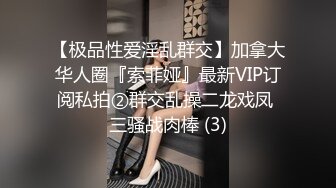 【极品性爱淫乱群交】加拿大华人圈『索菲娅』最新VIP订阅私拍②群交乱操二龙戏凤 三骚战肉棒 (3)