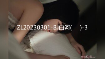 ZL20230301-BJ白河(백하)-3