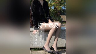 骑士老婆