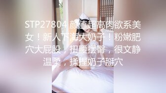 STP27804 颜值超高肉欲系美女！新人下海大奶子！粉嫩肥穴大屁股，扭腰摆臀，很文静温柔，揉捏奶子掰穴