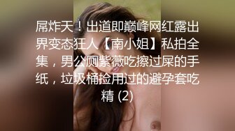 屌炸天！出道即巅峰网红露出界变态狂人【南小姐】私拍全集，男公厕紫薇吃擦过屎的手纸，垃圾桶捡用过的避孕套吃精 (2)