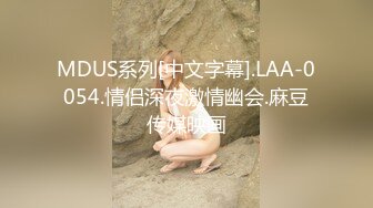 MDUS系列[中文字幕].LAA-0054.情侣深夜激情幽会.麻豆传媒映画