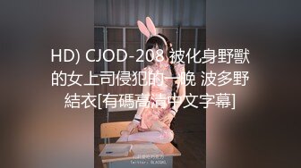 HD) CJOD-208 被化身野獸的女上司侵犯的一晚 波多野結衣[有碼高清中文字幕]