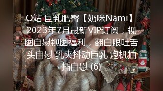 O站 巨乳肥臀【奶咪Nami】2023年7月最新VIP订阅，视图自慰视图福利，翻白眼吐舌头自慰 乳夹抖动巨乳 炮机抽插自慰 (6)