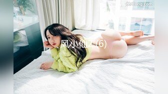 风小仙2 (6)