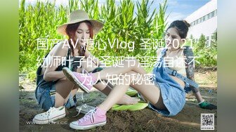 国产AV 糖心Vlog 圣诞2021 幼师叶子的圣诞节淫荡自述不为人知的秘密