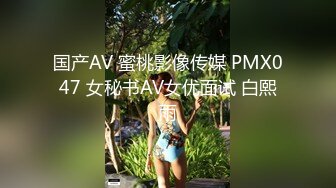 国产AV 蜜桃影像传媒 PMX047 女秘书AV女优面试 白熙雨