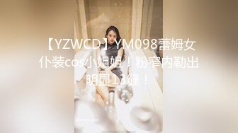 【YZWCD】YM098蕾姆女仆装cos小姐姐！粉窄内勒出明显13缝！